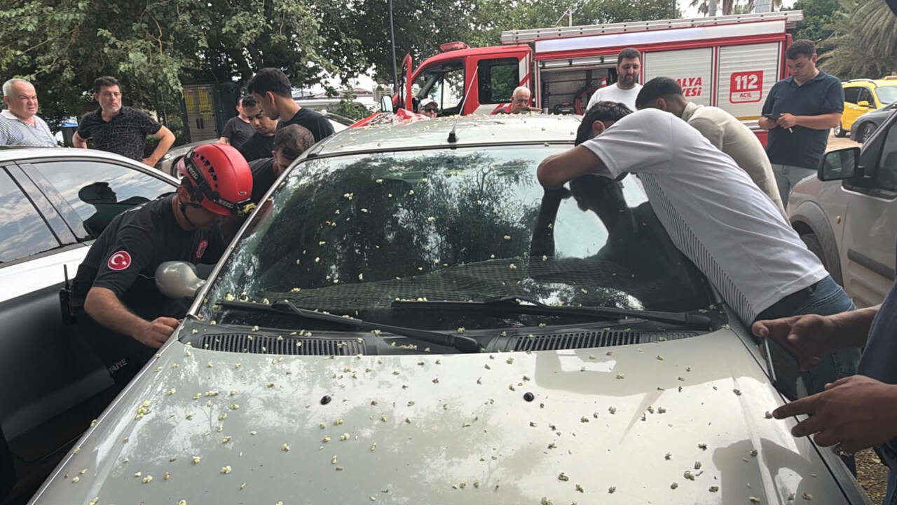 Otomobilde kilitli kalan 1 yaşındaki Firuz, bakın nasıl kurtuldu 4 otomobilde kilitli kalan 1 yasindaki firuz bakin nasil kurtuldu 6d38c055be65