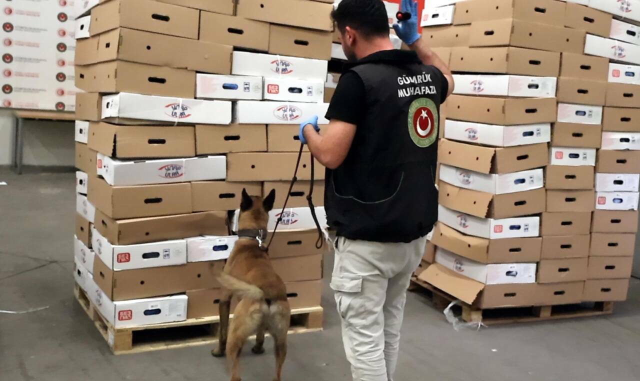 Sınırda 526 kilo uyuşturucu ele geçirildi 1 sinirda 526 kilo uyusturucu ele gecirildi db3df2bf6f90