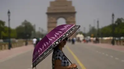Hindistan'da muson sezonundaki yağışların beklenenden daha az olması nedeniyle son