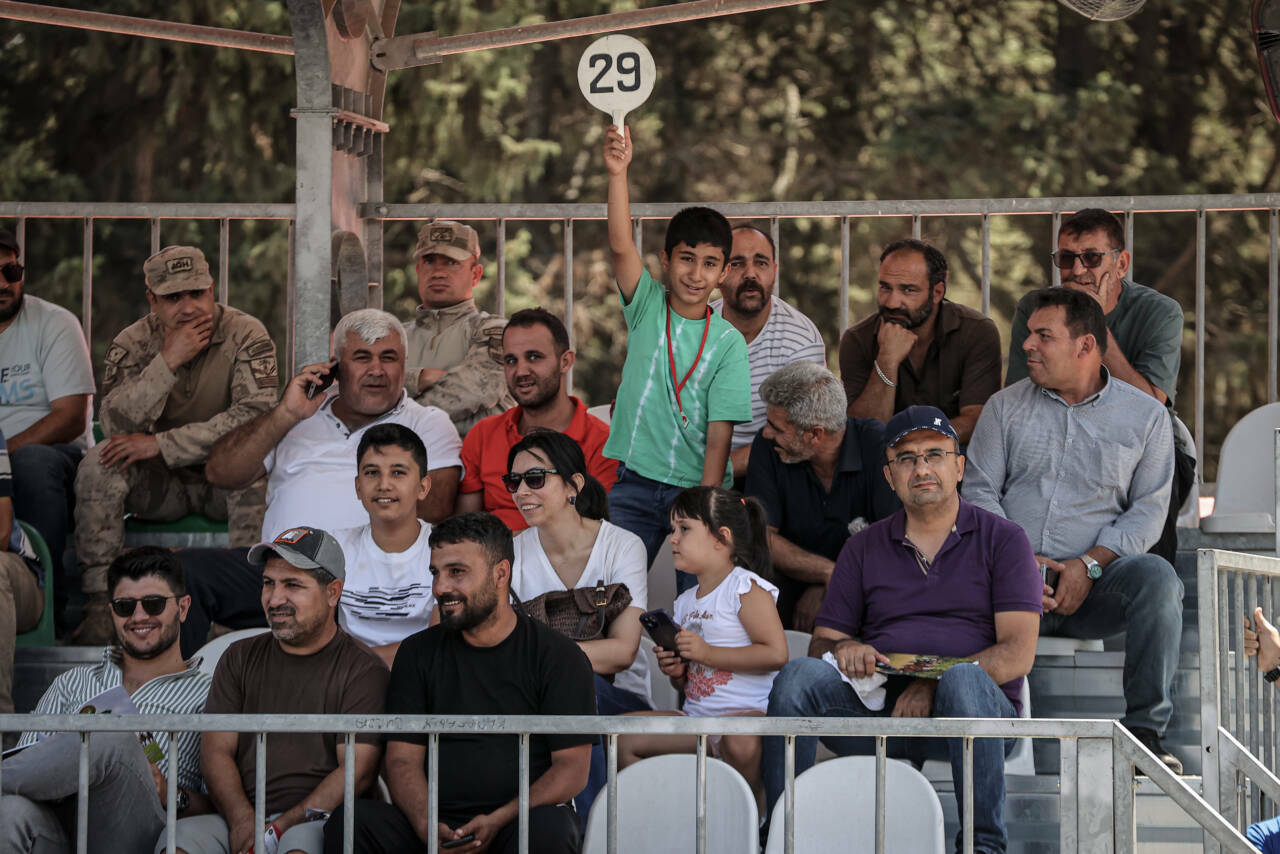 Bursa'da 40 milyon liralık safkan Arap tay satış 6 tigem 58 safkan arap tayinin satisindan yaklasik 40 milyon lira gelir elde etti bd76ac466b62