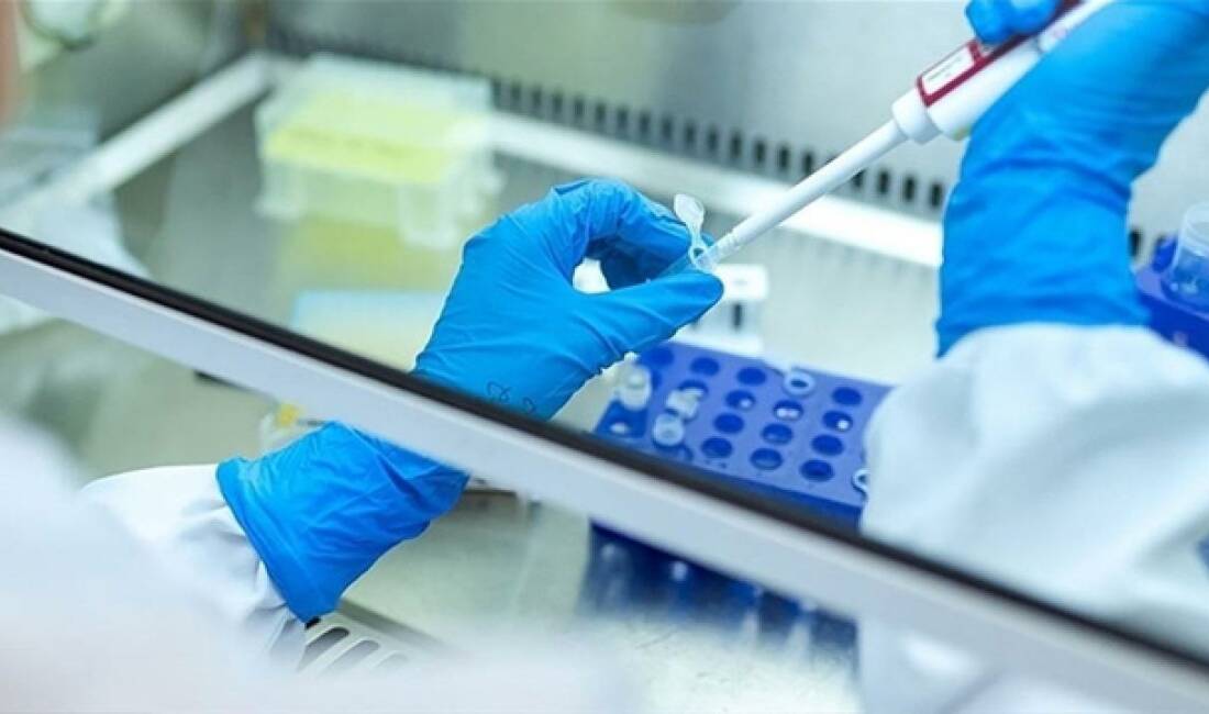 Türk araştırmacılardan uluslararası başarı Türk hekim ve mühendislerin dış gebeliğin tespitine yönelik yapay zeka