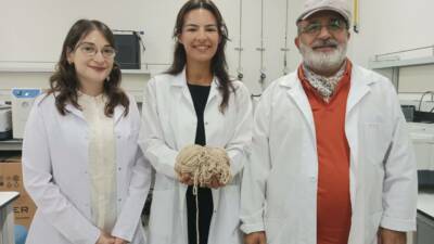 Bursa Teknik Üniversitesi (BTÜ) akademisyenleri, uyku bozukluğu ve stresle mücadeleye
