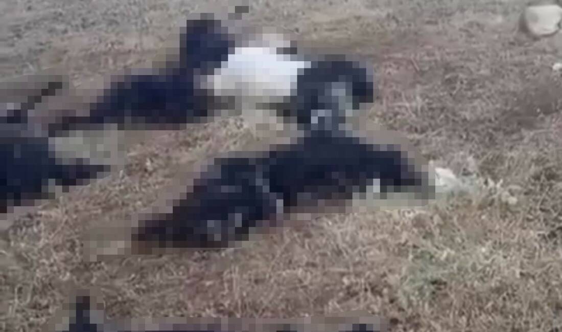 Bitlis’in Mutki ilçesinde dün gece etkili olan sağanak yağış sırasında