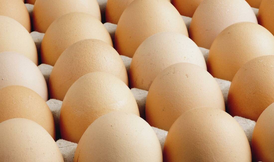 Yumurtada salmonella şüphesi ABD Gıda ve İlaç Dairesi (FDA), salmonella bakterisi bulaşmış olabileceği