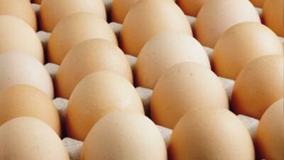 ABD Gıda ve İlaç Dairesi (FDA), salmonella bakterisi bulaşmış olabileceği
